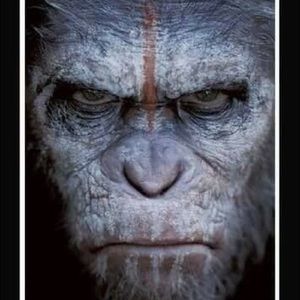 Meet your Posher, Ethan